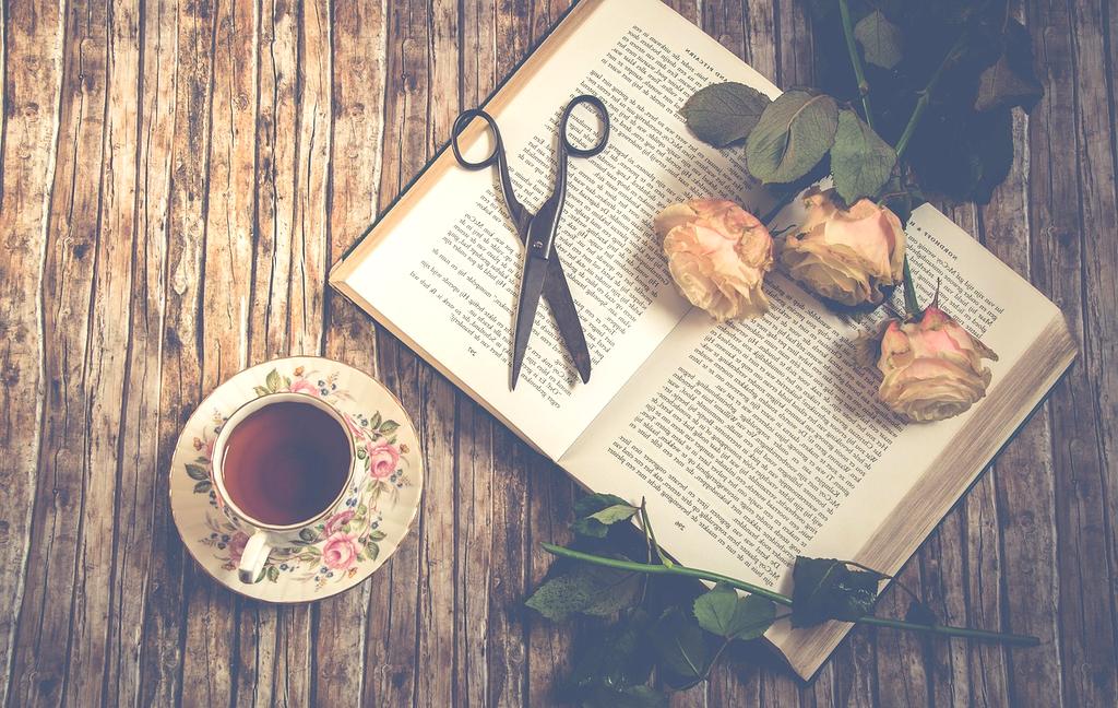 Open book with ecosystem illustrations