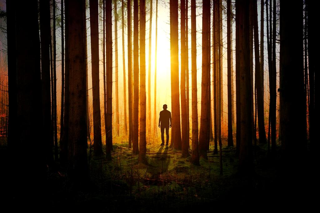 Person thinking by a forest ecosystem